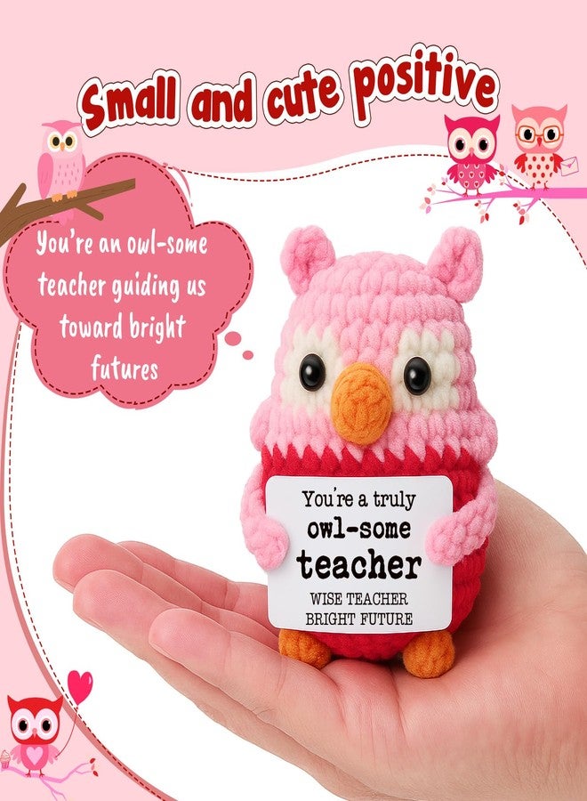Hweijm Pink Owl Crochet Birthday Gift for Teacher, Handmade Thank You Keepsake for Women Mentors, Inspirational Crochet Teacher Appreciation Present, Graduation End of School Year Desk Decor - Image 2